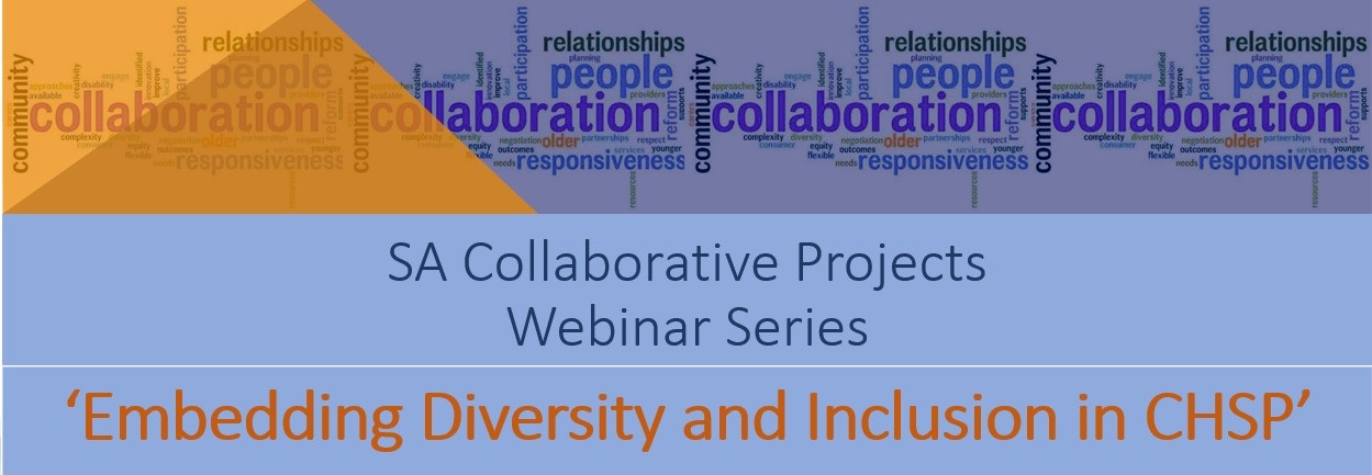 Embedding Diversity & Inclusion in CHSP